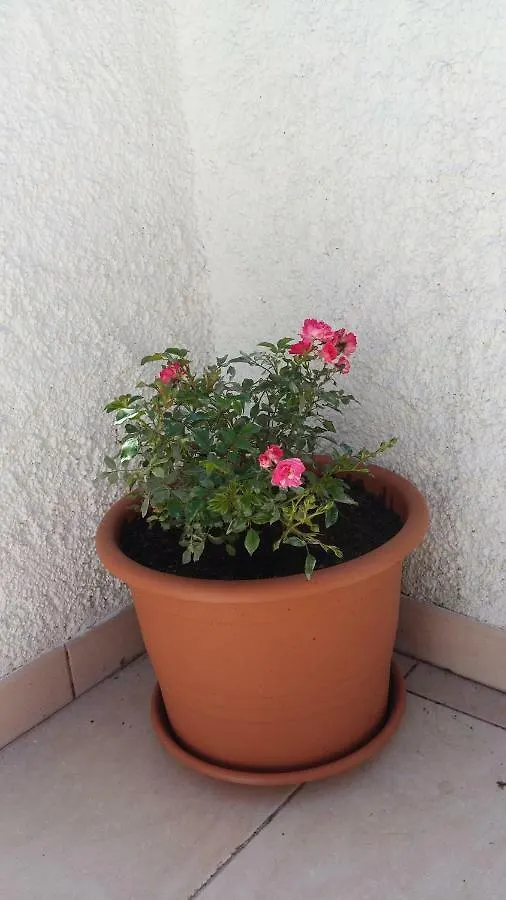 Guest House Betiga Barbariga